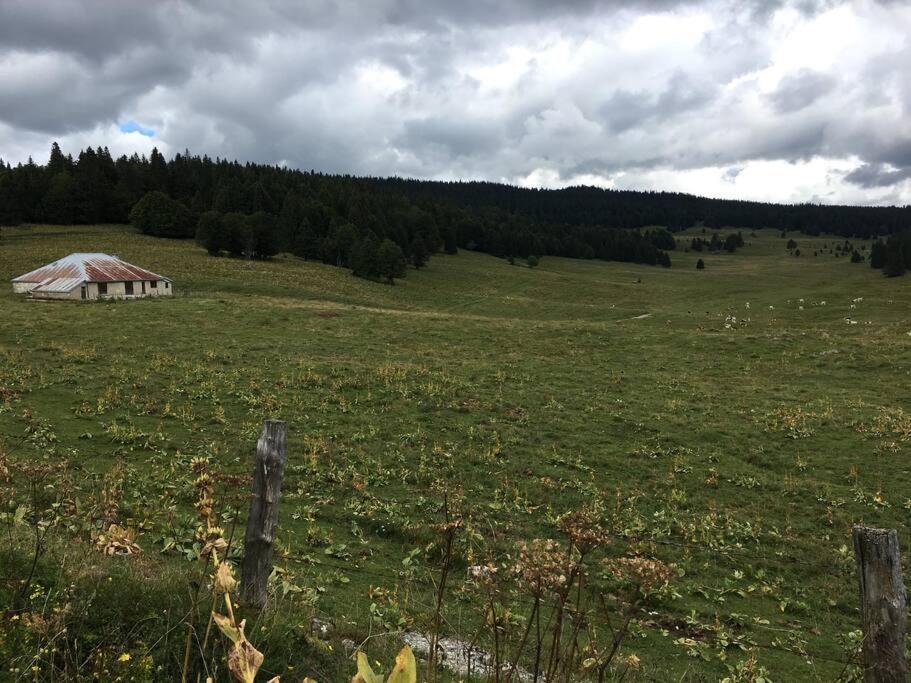 Au Coeur Du Village De Prémanon Екстериор снимка